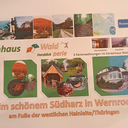 Ferienhaus Waldperle Harzblick Apartment Wernrode Luaran gambar