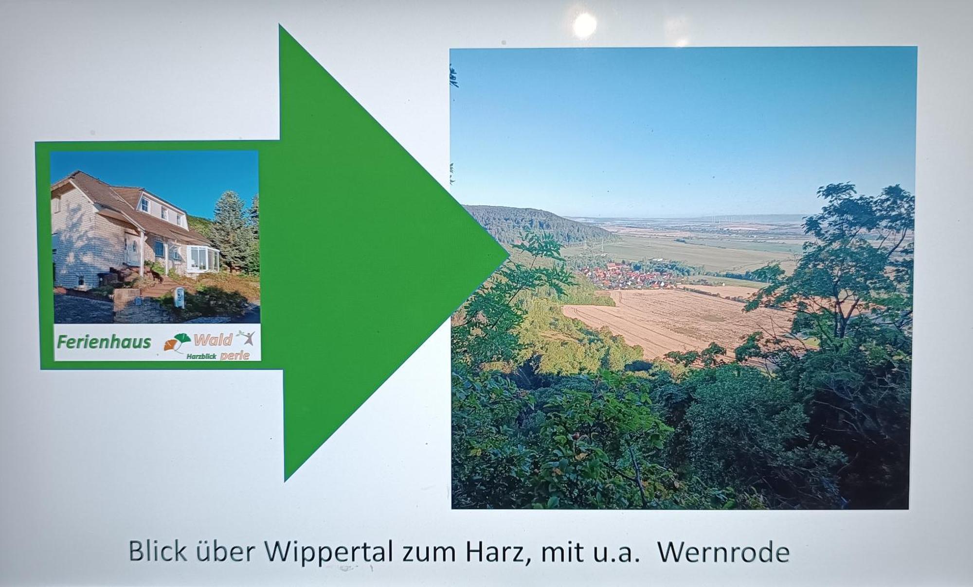 Ferienhaus Waldperle Harzblick Apartment Wernrode Luaran gambar