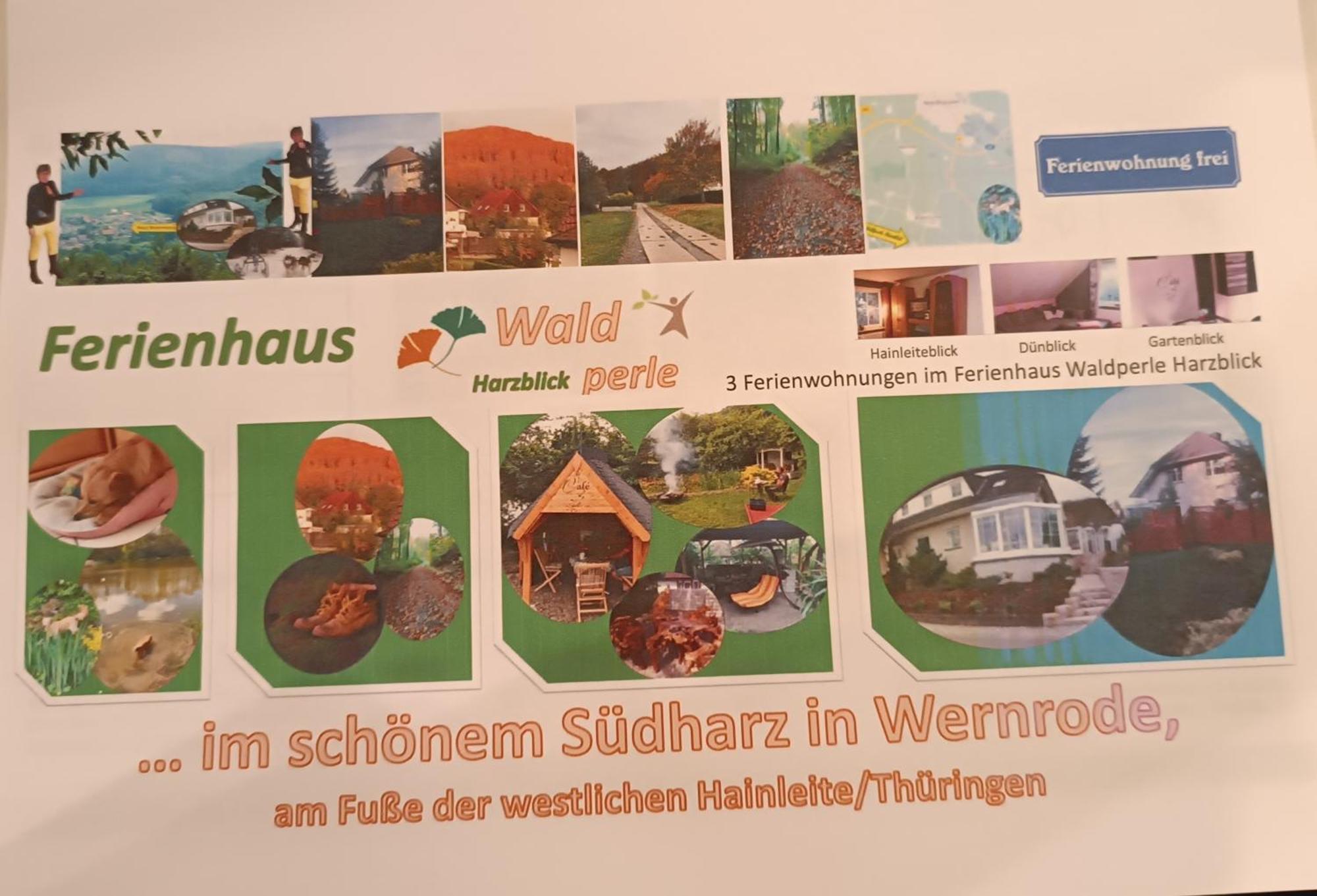 Ferienhaus Waldperle Harzblick Apartment Wernrode Luaran gambar