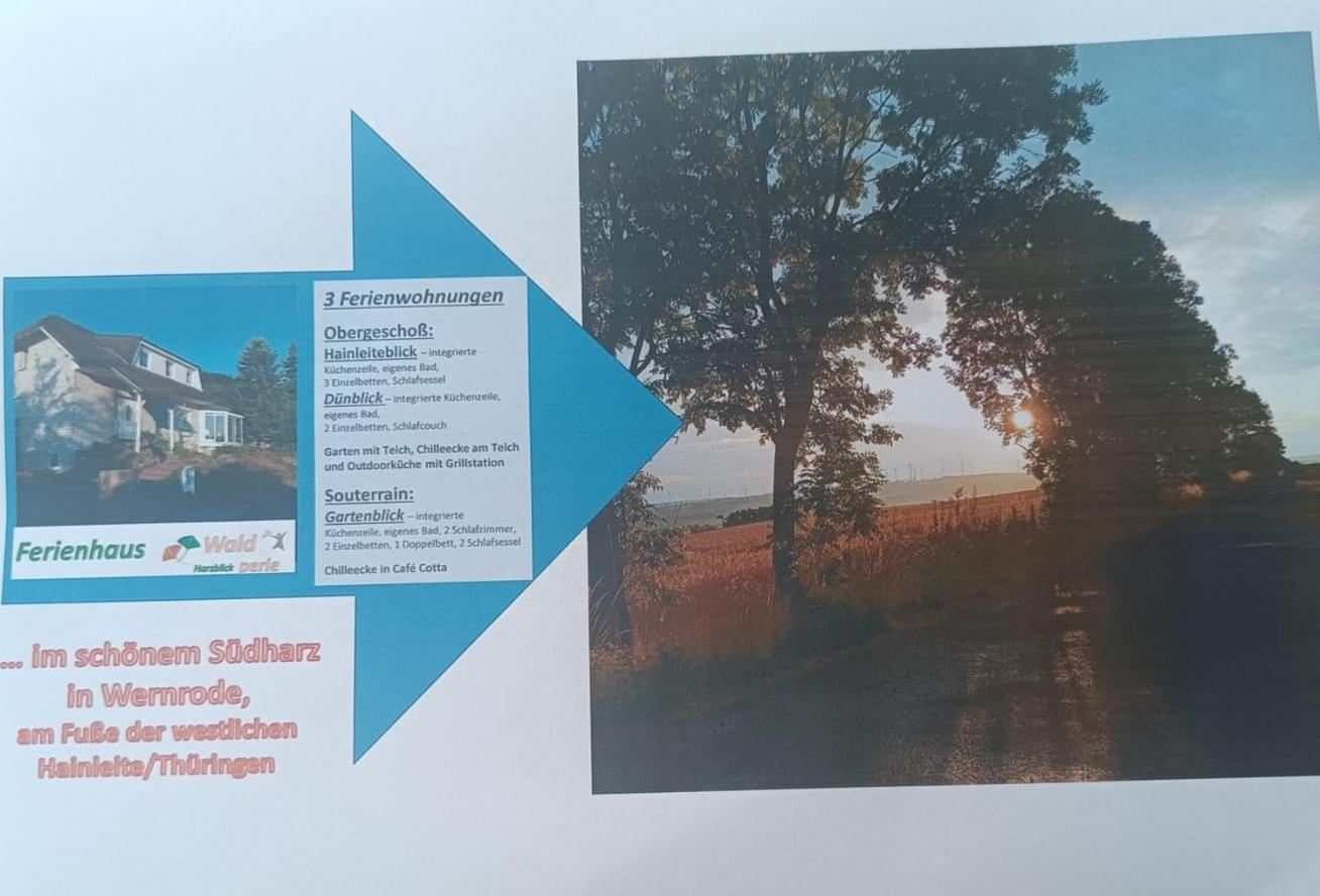 Ferienhaus Waldperle Harzblick Wernrode Luaran gambar